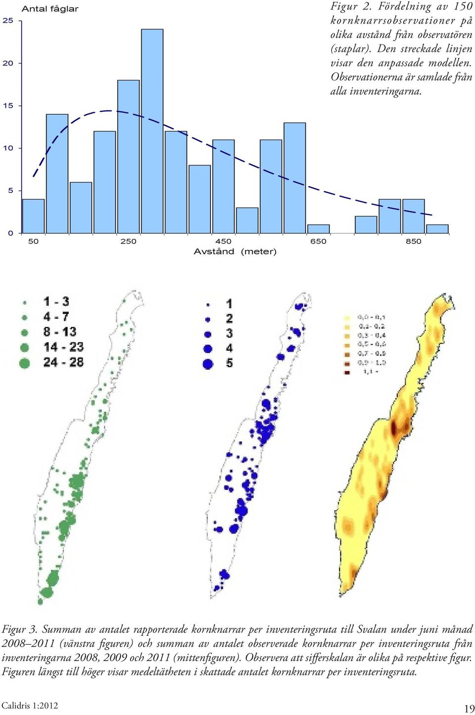 Summan av antalet rapporterade kornknarrar per inventeringsruta till Svalan under juni månad 2008 2011 (vänstra figuren) och summan av antalet observerade kornknarrar per