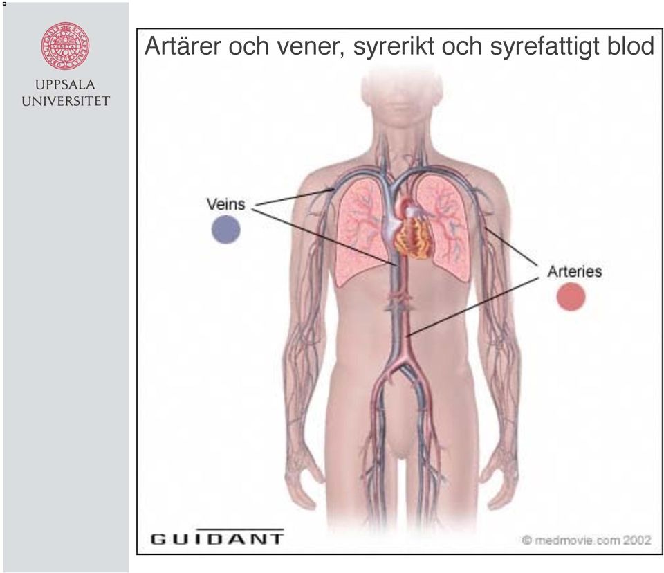 syrerikt och