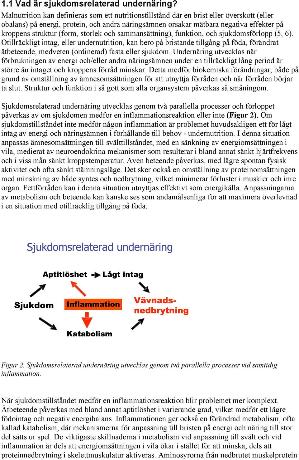 (form, storlek och sammansättning), funktion, och sjukdomsförlopp (5, 6).