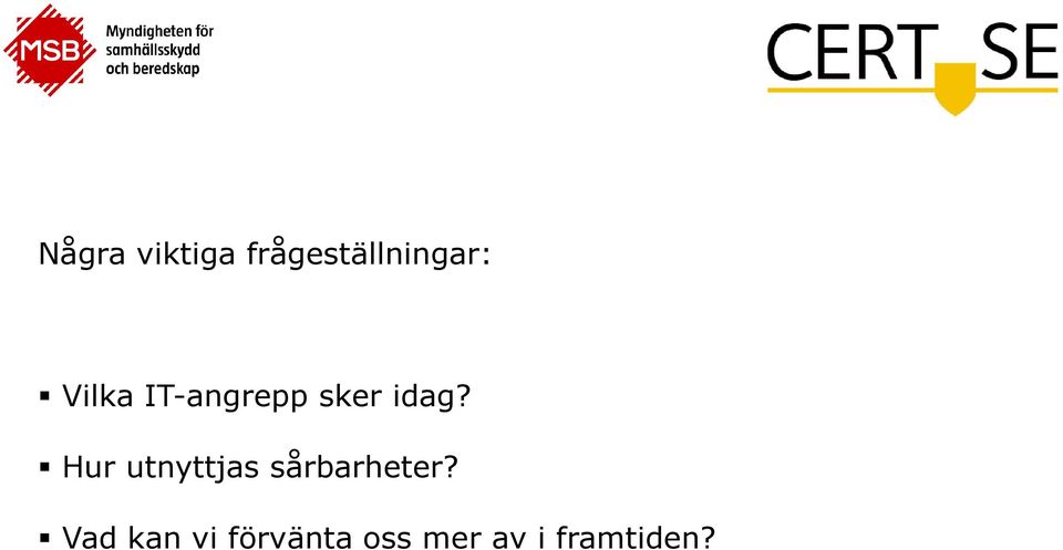 Hur utnyttjas sårbarheter?