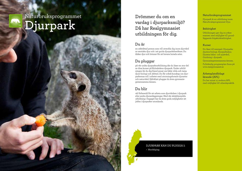 på vår unika djurparksutbildning där du läser en stor del av dina kurser på Kolmårdens djurpark. Under utbildningen lär du dig bland annat om både vilda och tama djurs biologi och skötsel.