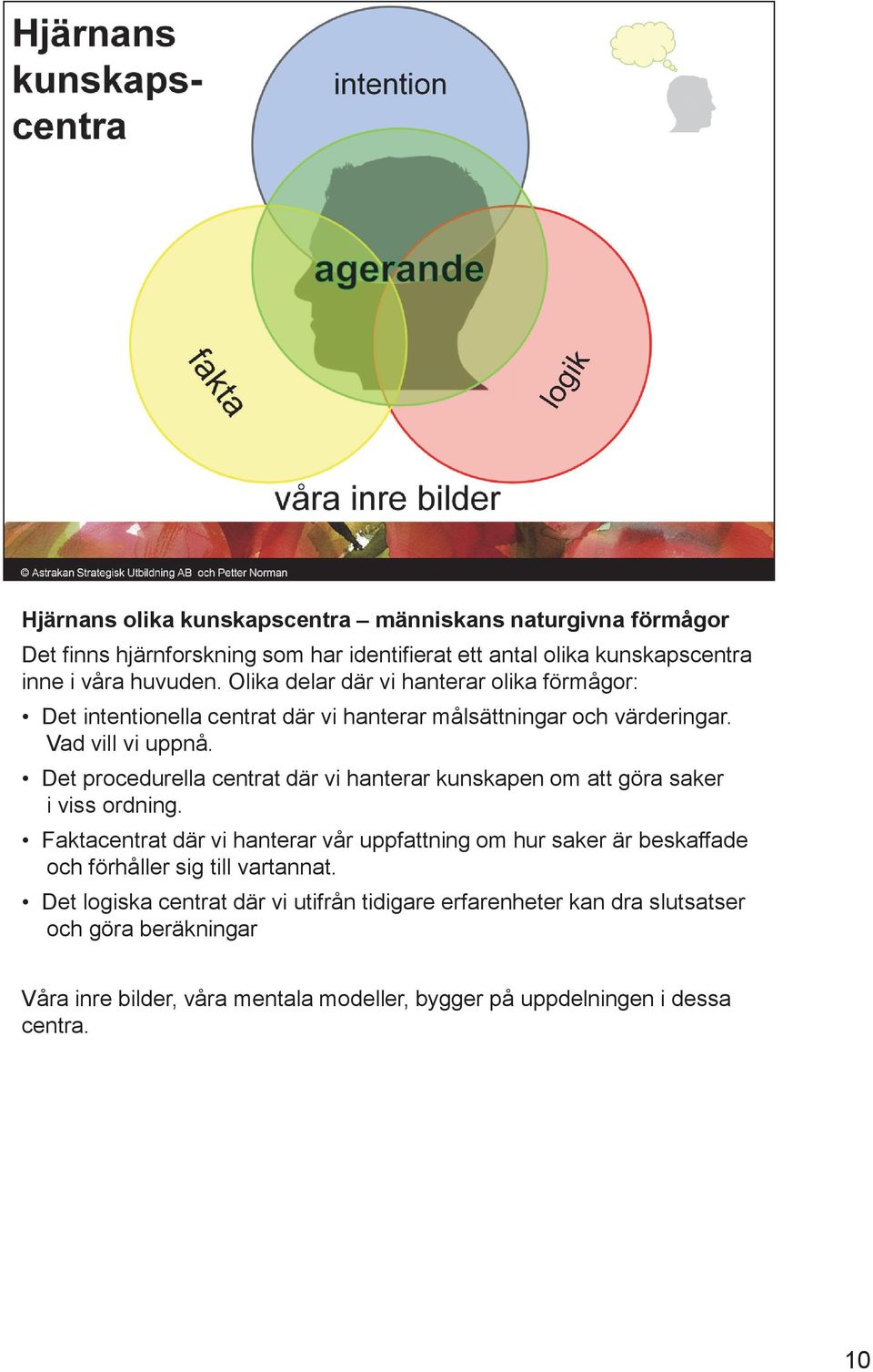 Det procedurella centrat där vi hanterar kunskapen om att göra saker i viss ordning.