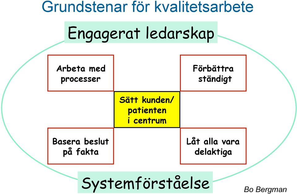 Sätt kunden/ patienten i centrum Basera beslut på