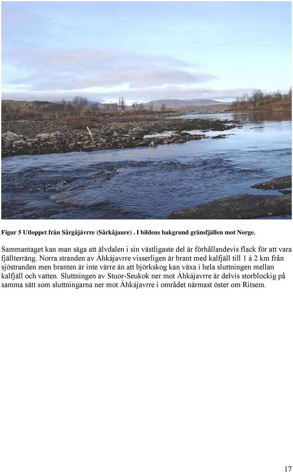 Norra stranden av Áhkájavrre visserligen är brant med kalfjäll till 1 à 2 km från sjöstranden men branten är inte värre än att björkskog