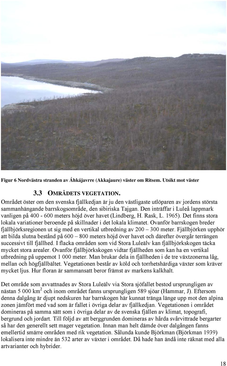 Den inträffar i Luleå lappmark vanligen på 400-600 meters höjd över havet (Lindberg, H. Rask, L. 1965). Det finns stora lokala variationer beroende på skillnader i det lokala klimatet.