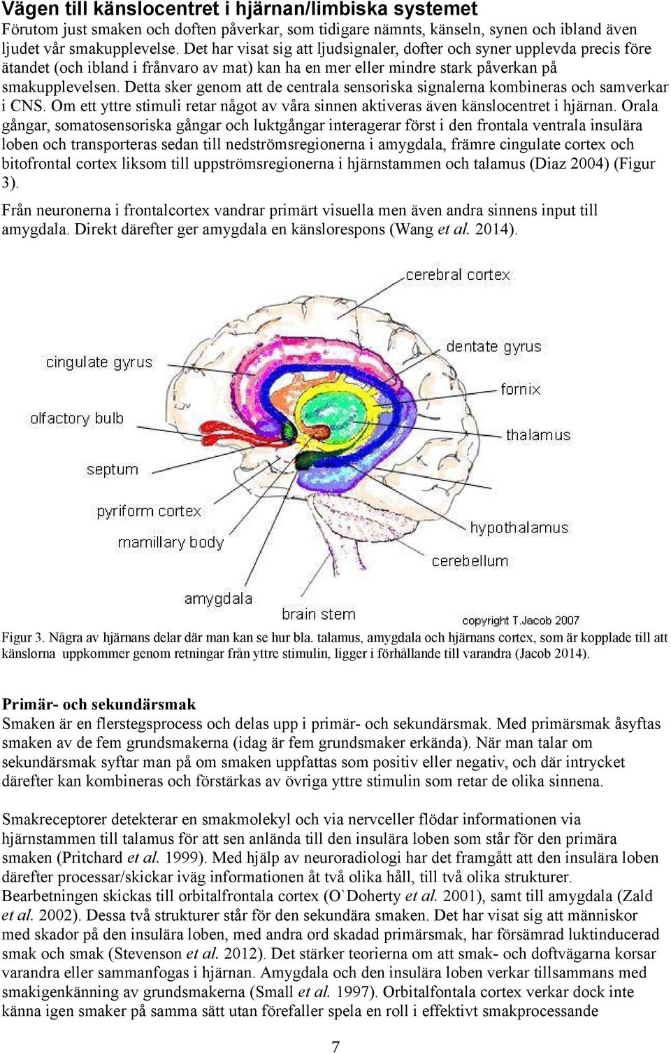 Detta sker genom att de centrala sensoriska signalerna kombineras och samverkar i CNS. Om ett yttre stimuli retar något av våra sinnen aktiveras även känslocentret i hjärnan.