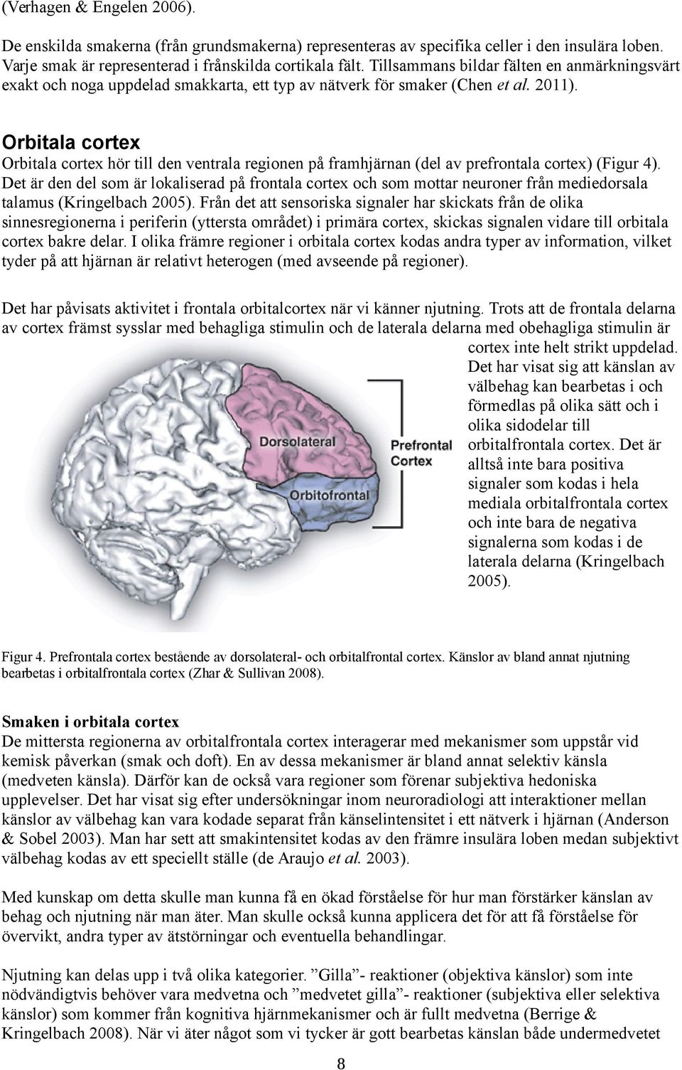 Orbitala cortex Orbitala cortex hör till den ventrala regionen på framhjärnan (del av prefrontala cortex) (Figur 4).