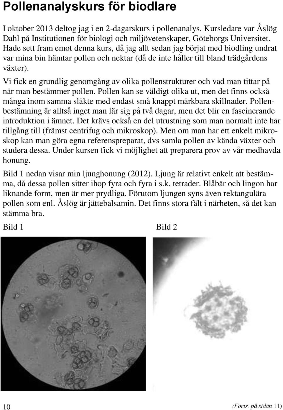 Vi fick en grundlig genomgång av olika pollenstrukturer och vad man tittar på när man bestämmer pollen.