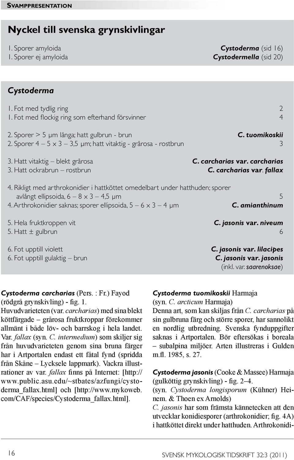 Hatt vitaktig blekt grårosa C. carcharias var. carcharias 3. Hatt ockrabrun rostbrun C. carcharias var. fallax 4.