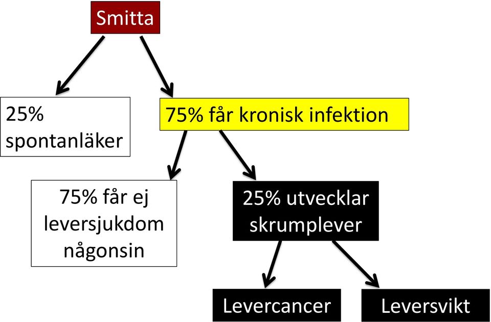 leversjukdom någonsin 25%