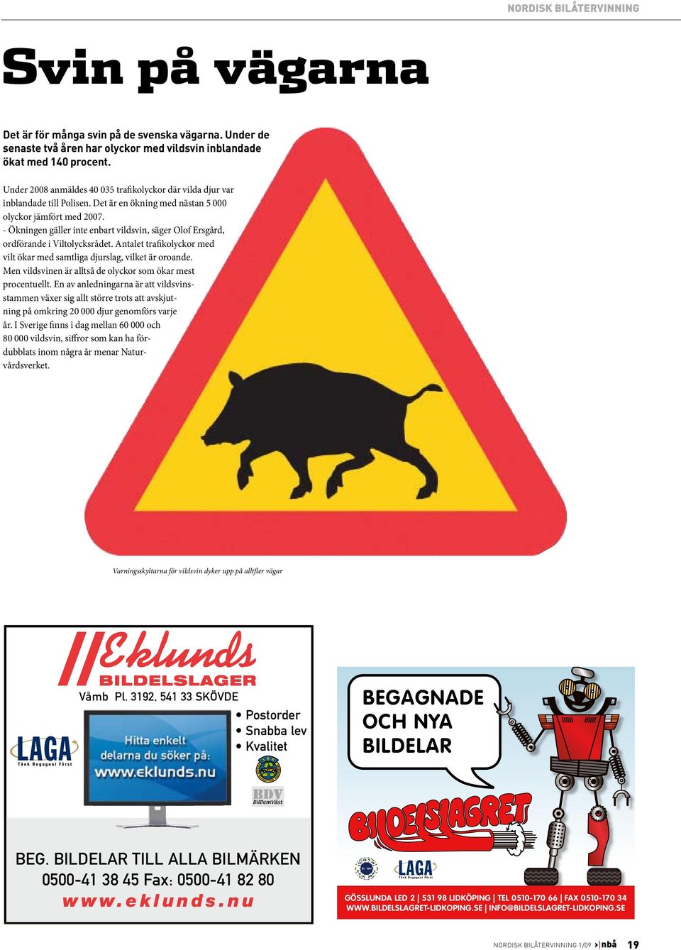 Det är en ökning med nästan 5 000 olyckor jämfört med 2007. - Ökningen gäller inte enbart vildsvin, säger Olof Ersgård, ordförande i Viltolycksrådet.
