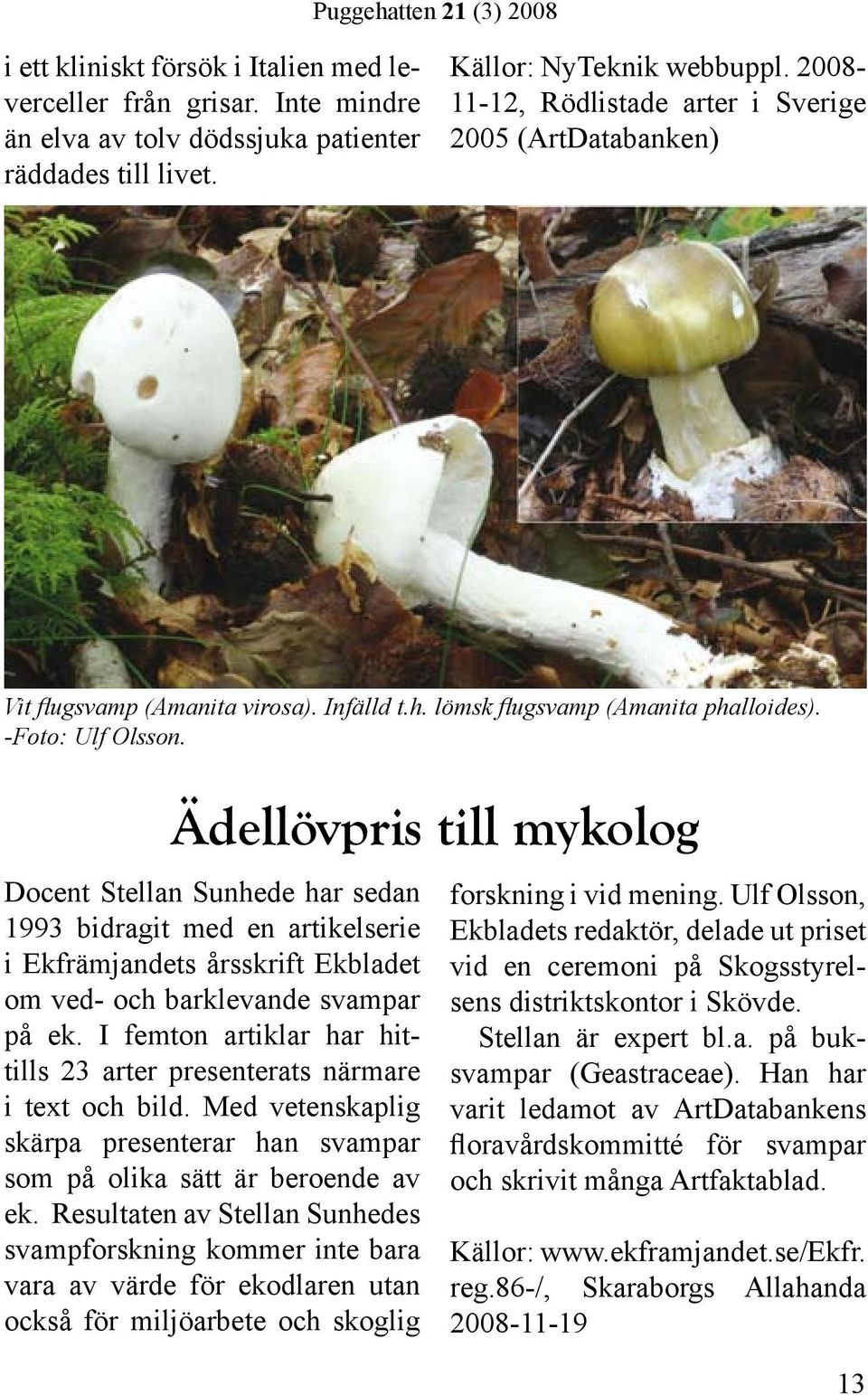 Ädellövpris till mykolog Docent Stellan Sunhede har sedan 1993 bidragit med en artikelserie i Ekfrämjandets årsskrift Ekbladet om ved- och barklevande svampar på ek.