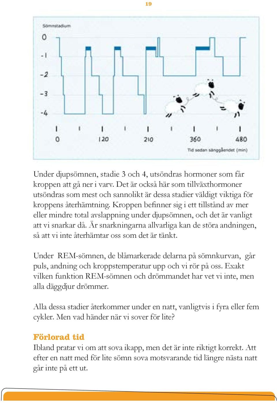 Kroppen befinner sig i ett tillstånd av mer eller mindre total avslappning under djupsömnen, och det är vanligt att vi snarkar då.