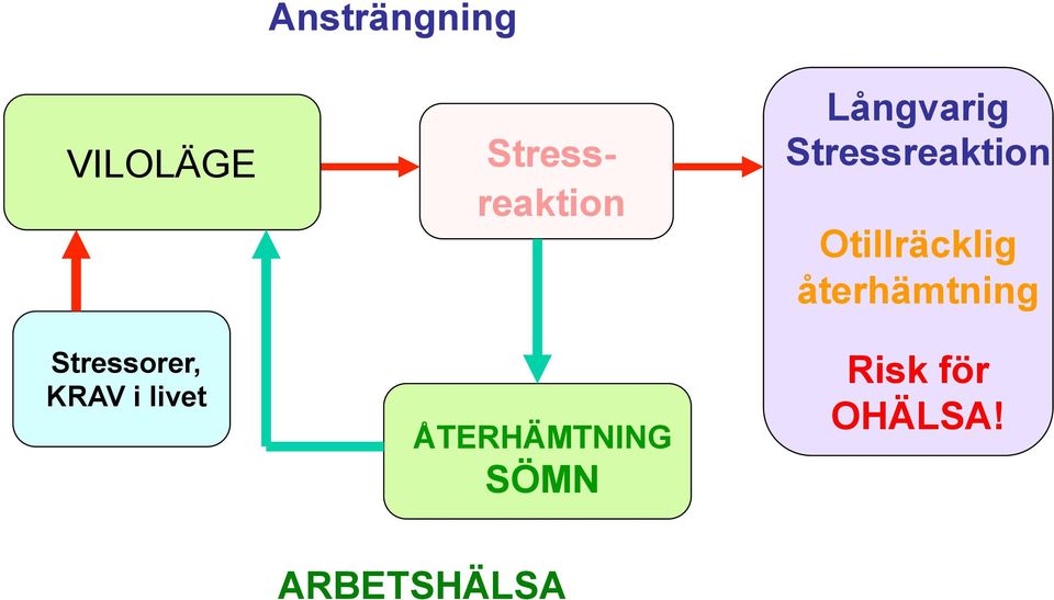 ÅTERHÄMTNING SÖMN Långvarig