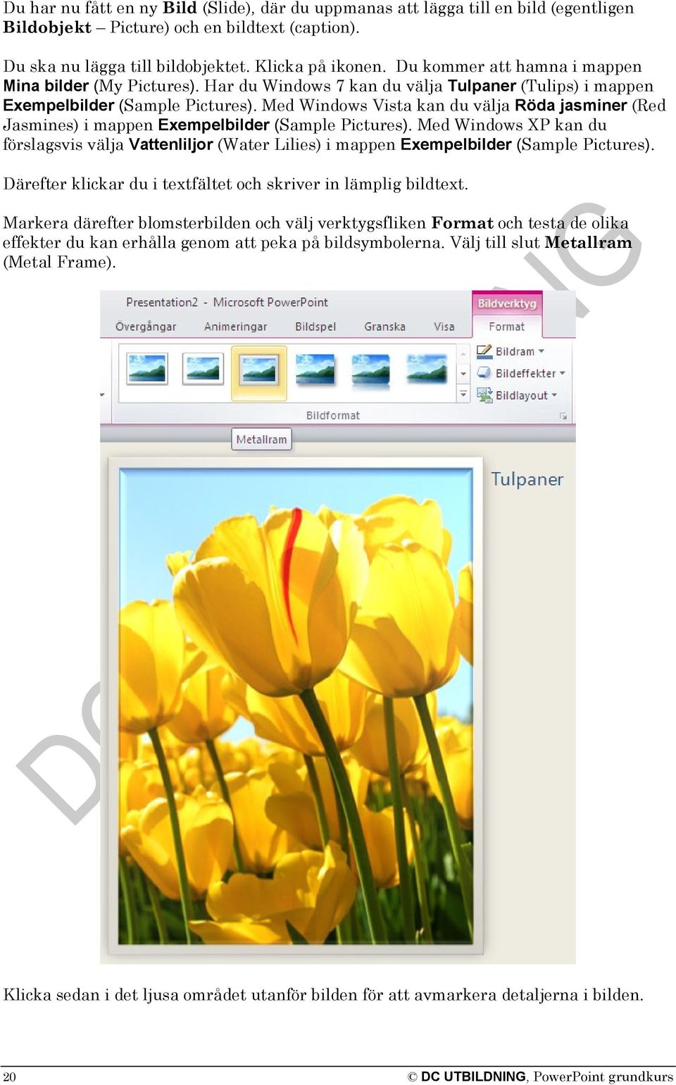 Med Windows Vista kan du välja Röda jasminer (Red Jasmines) i mappen Exempelbilder (Sample Pictures).