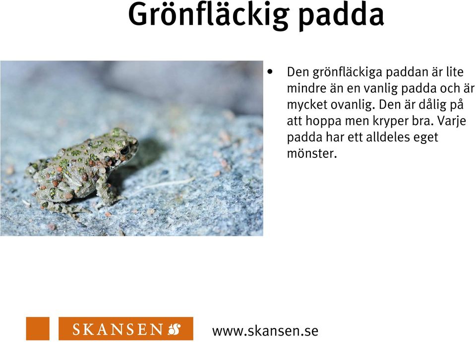 ovanlig.