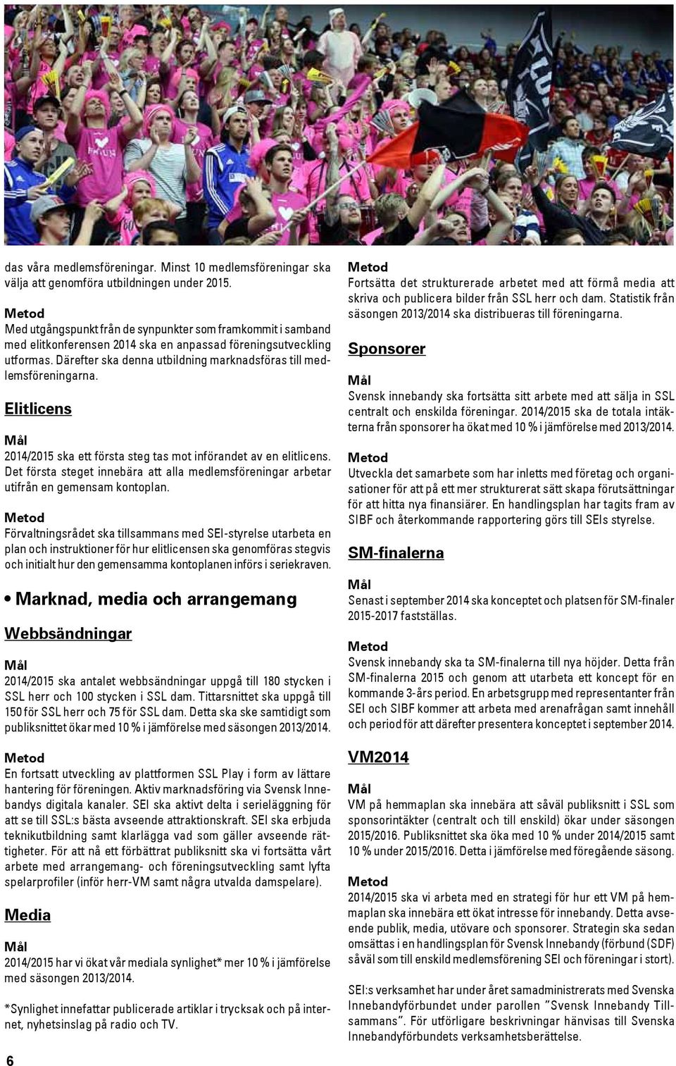 Därefter ska denna utbildning marknadsföras till medlemsföreningarna. Elitlicens 2014/2015 ska ett första steg tas mot införandet av en elitlicens.