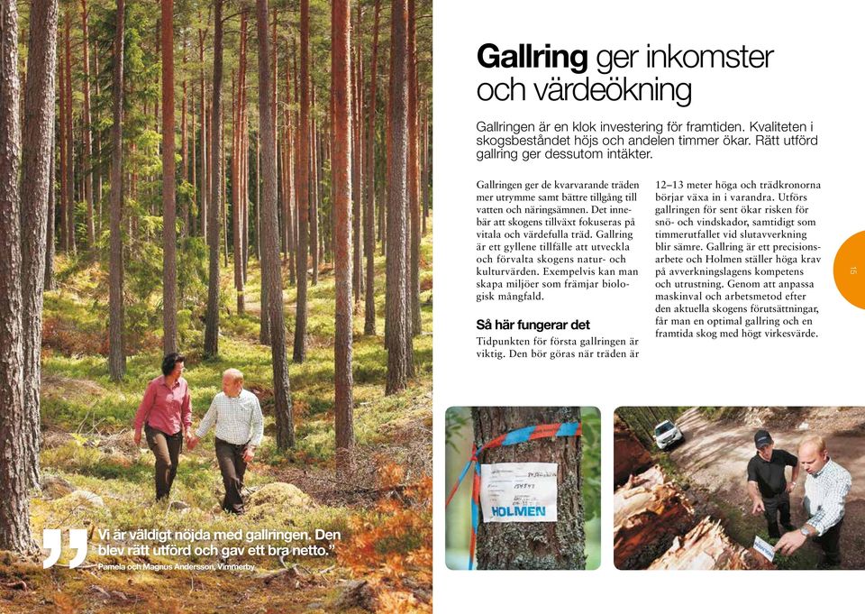 Gallring är ett gyllene tillfälle att utveckla och förvalta skogens natur- och kulturvärden. Exempelvis kan man skapa miljöer som främjar biologisk mångfald.