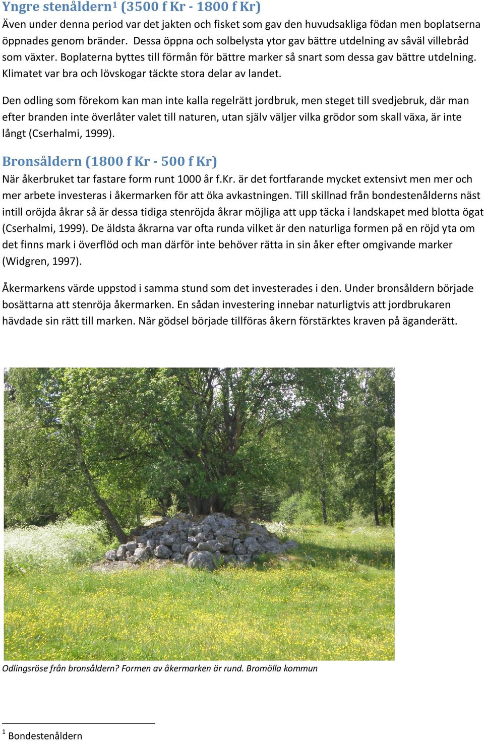 Klimatet var bra och lövskogar täckte stora delar av landet.