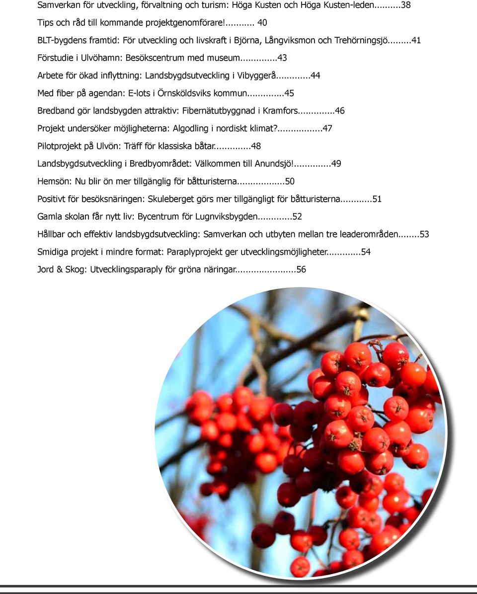 ..43 Arbete för ökad inflyttning: Landsbygdsutveckling i Vibyggerå...44 Med fiber på agendan: E-lots i Örnsköldsviks kommun...45 Bredband gör landsbygden attraktiv: Fibernätutbyggnad i Kramfors.