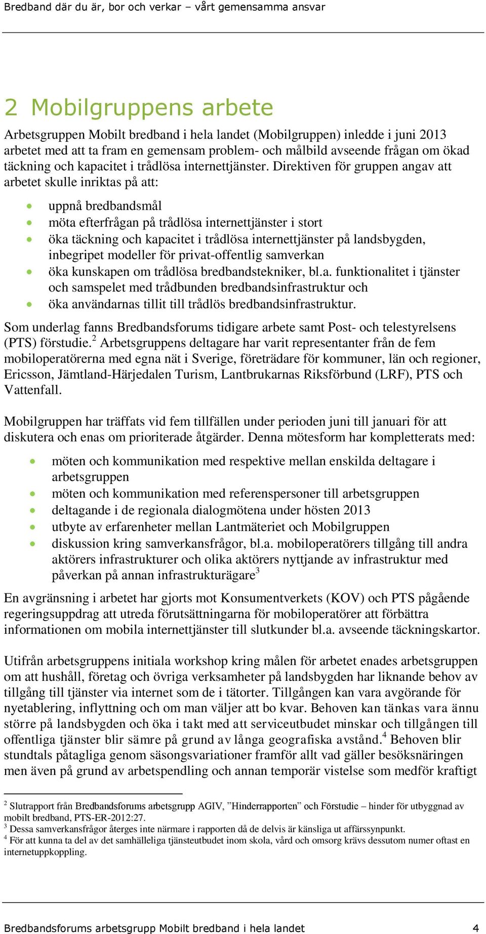 Direktiven för gruppen angav att arbetet skulle inriktas på att: uppnå bredbandsmål möta efterfrågan på trådlösa internettjänster i stort öka täckning och kapacitet i trådlösa internettjänster på