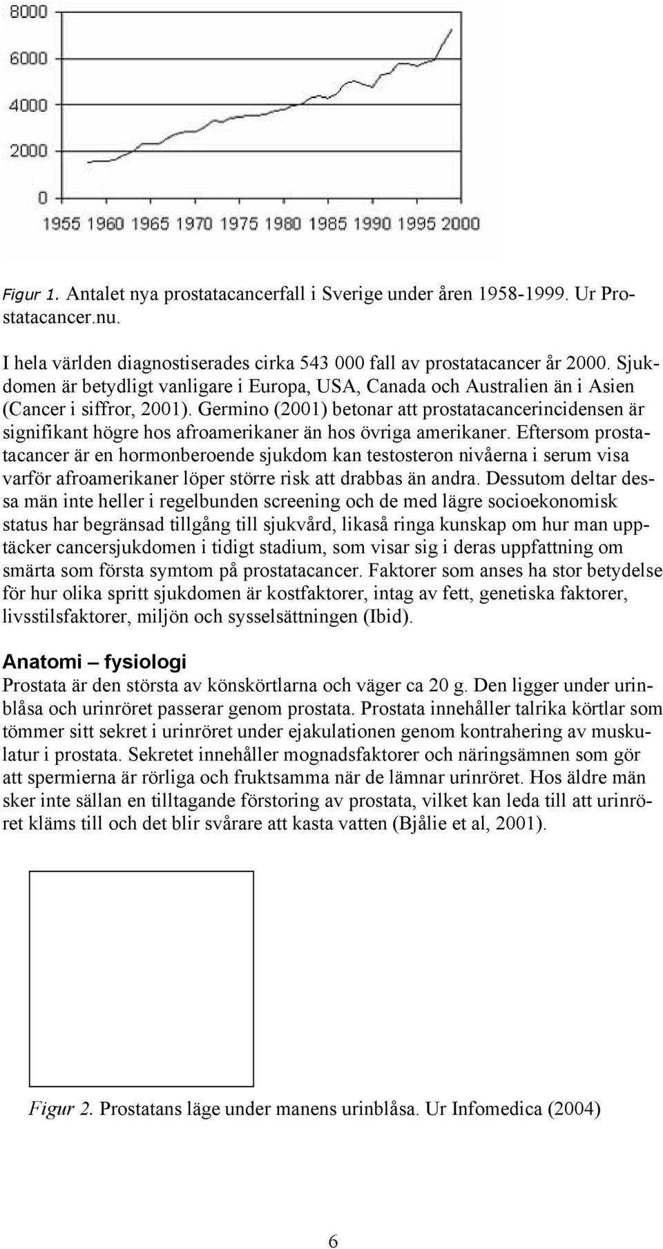 Germino (2001) betonar att prostatacancerincidensen är signifikant högre hos afroamerikaner än hos övriga amerikaner.