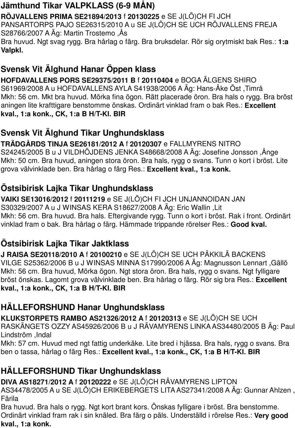 Svensk Vit Älghund Hanar Öppen klass HOFDAVALLENS PORS SE29375/2011 B f 20110404 e BOGA ÄLGENS SHIRO S61969/2008 A u HOFDAVALLENS AYLA S41938/2006 A Äg: Hans-Åke Öst,Timrå Mkh: 56 cm. Mkt bra huvud.