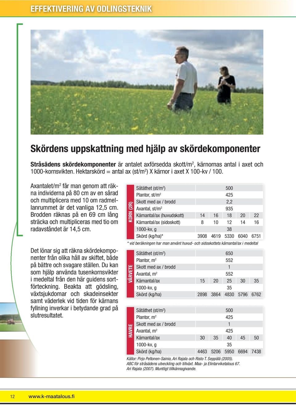 Axantalet/m 2 får man genom att räkna individerna på 80 cm av en sårad och multiplicera med 10 om radmellanrummet är det vanliga 12,5 cm.