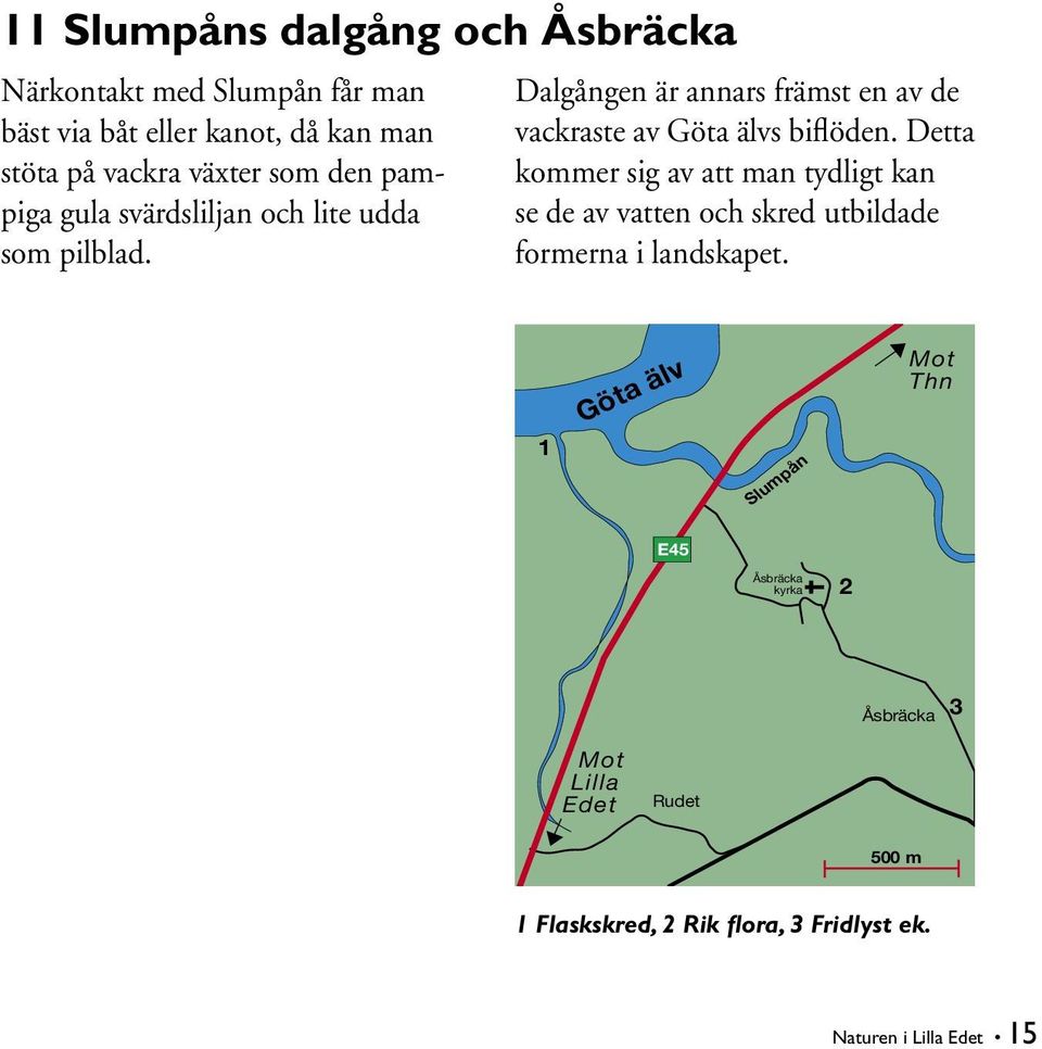 pampiga gula svärdsliljan och lite udda som pilblad. Dalgången är annars främst en av de vackraste av Göta älvs biflöden.