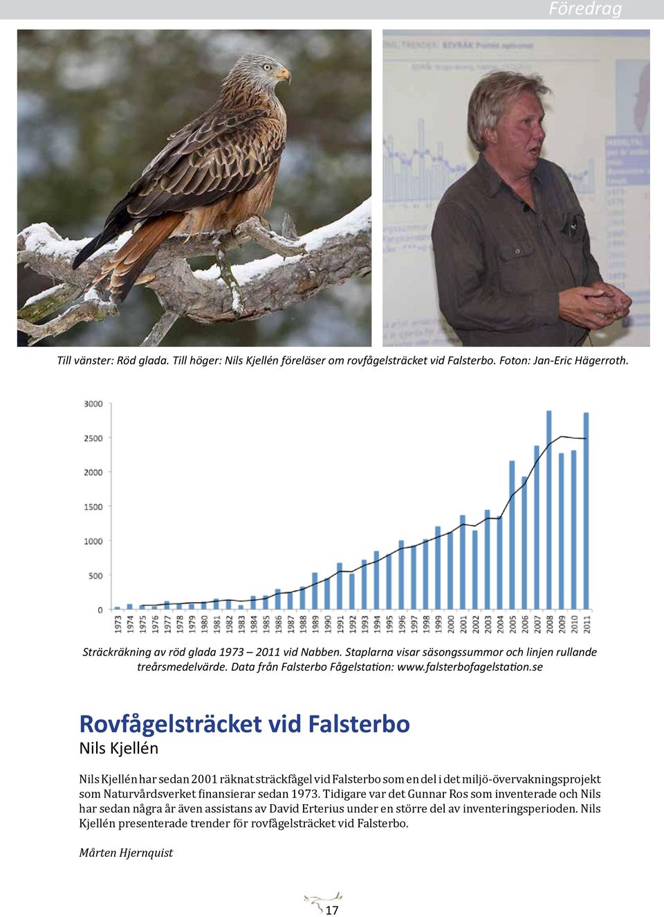 se Rovfågelsträcket vid Falsterbo Nils Kjellén Nils Kjellén har sedan 2001 räknat sträckfågel vid Falsterbo som en del i det miljö-övervakningsprojekt som Naturvårdsverket finansierar