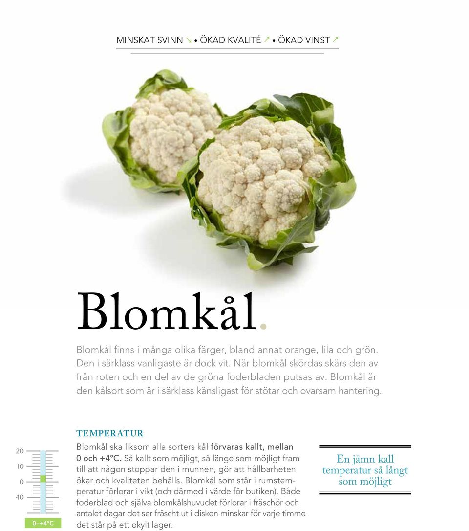 Temper atur Blomkål ska liksom alla sorters kål förvaras kallt, mellan 0 och +4 C.