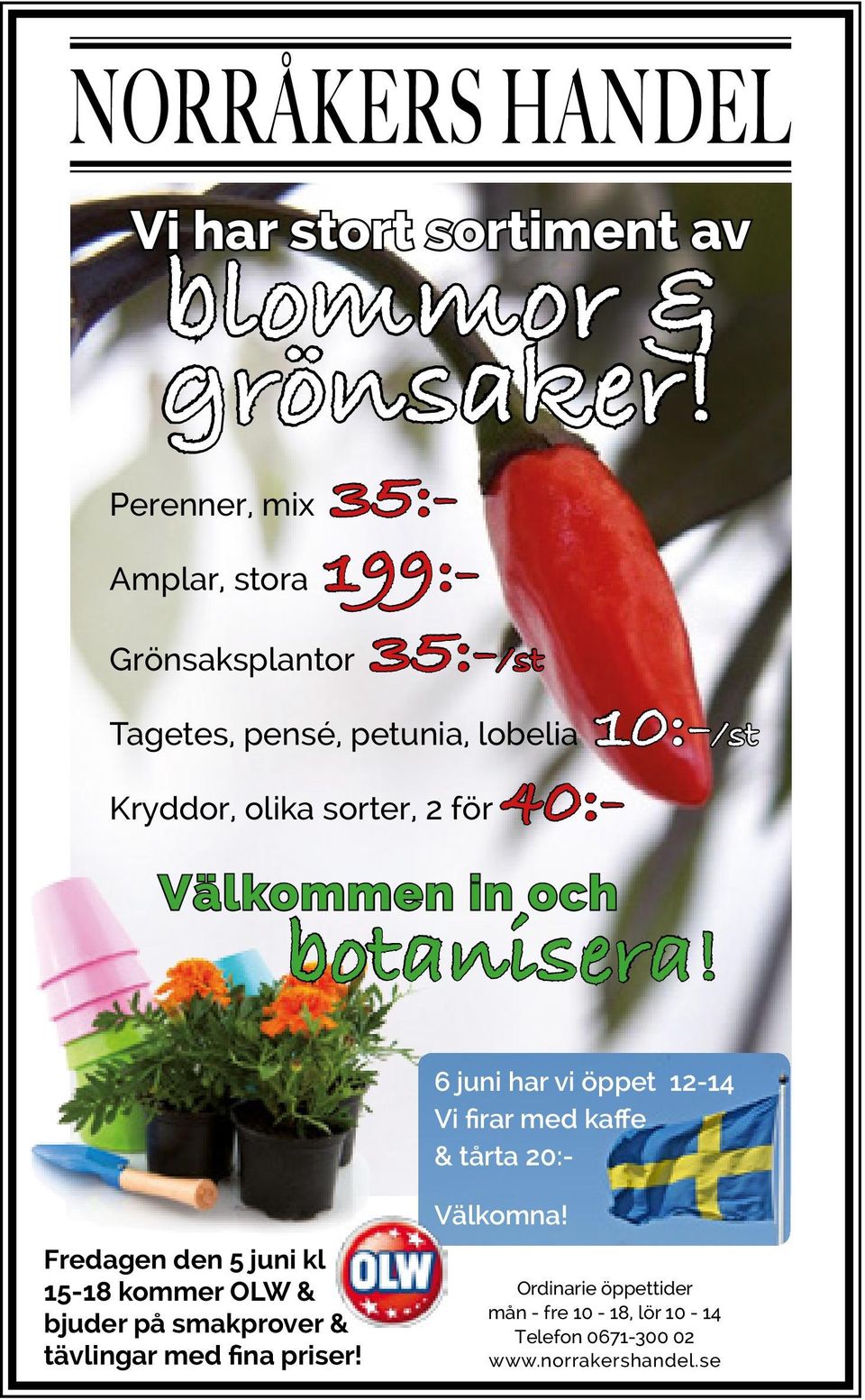 olika sorter, 2 för 40:- Välkommen in och botanisera!