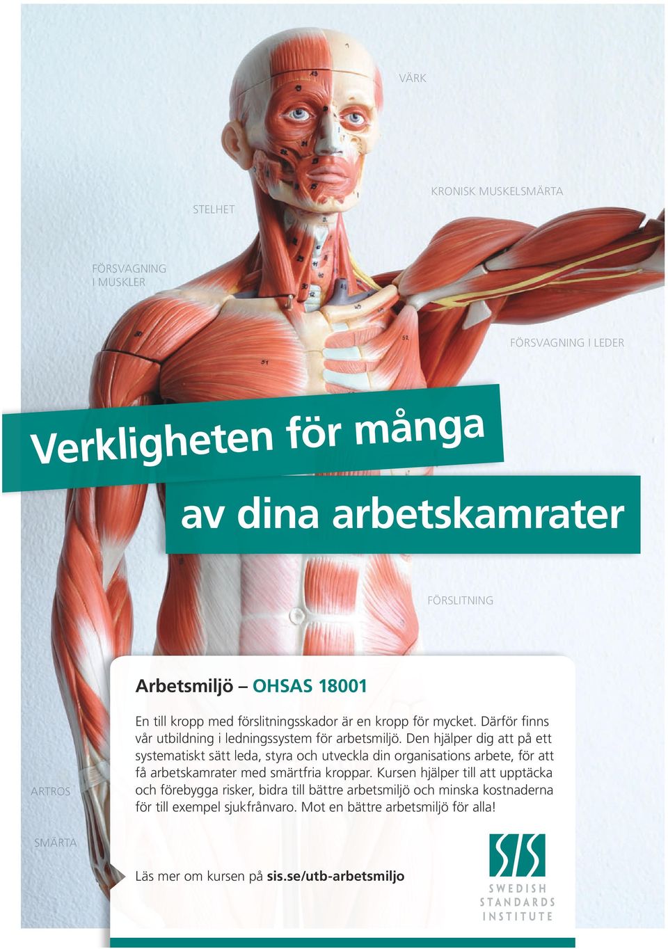 Den hjälper dig att på ett systematiskt sätt leda, styra och utveckla din organisations arbete, för att få arbetskamrater med smärtfria kroppar.