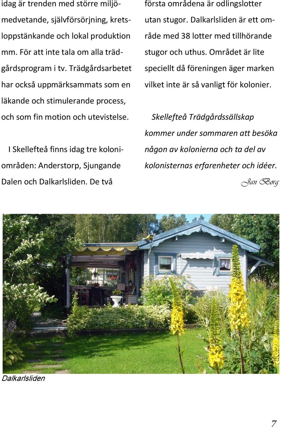 I Skellefteå finns idag tre koloniområden: Anderstorp, Sjungande Dalen och Dalkarlsliden. De två första områdena är odlingslotter utan stugor.