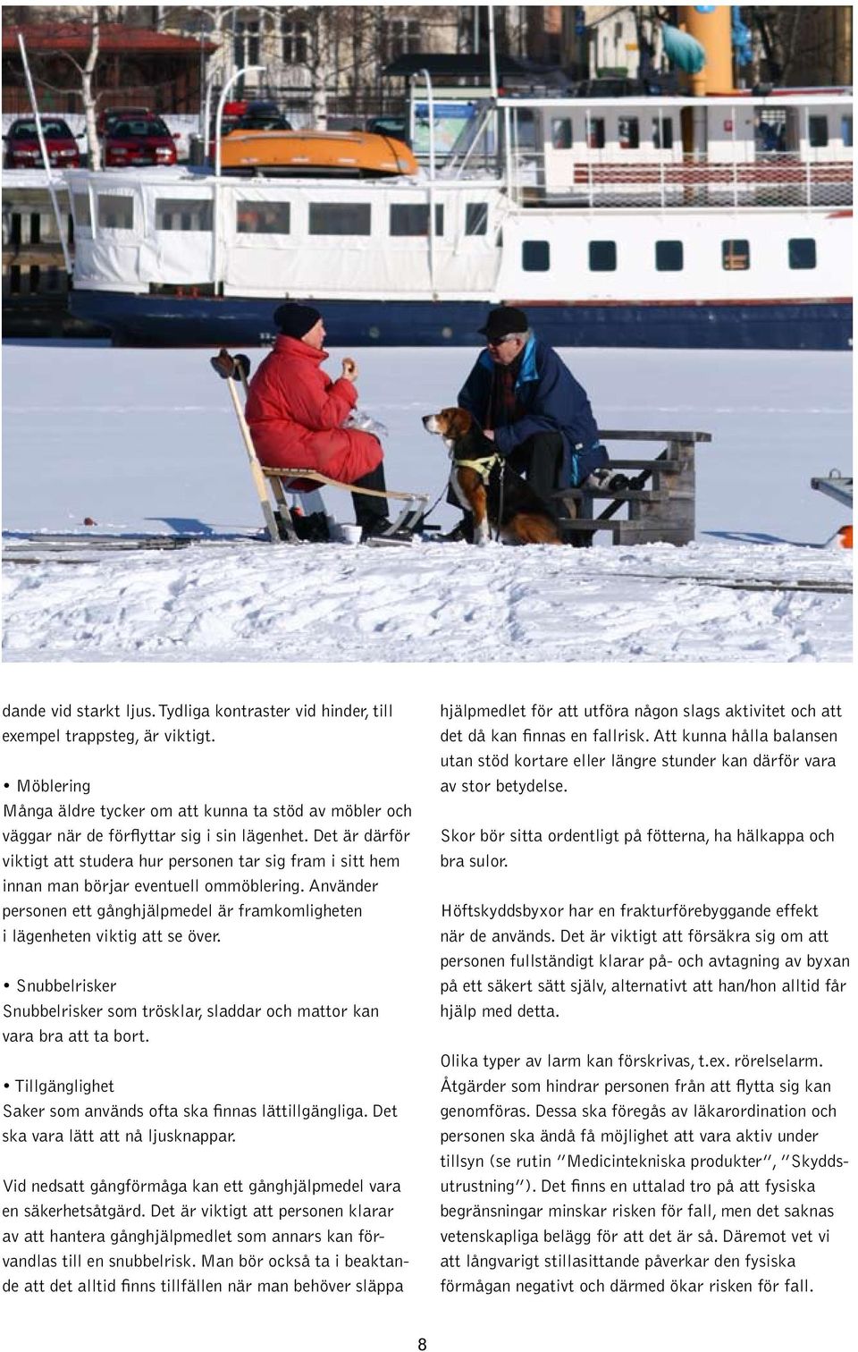 Snubbelrisker Snubbelrisker som trösklar, sladdar och mattor kan vara bra att ta bort. Tillgänglighet Saker som används ofta ska finnas lättillgängliga. Det ska vara lätt att nå ljusknappar.