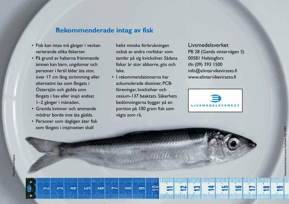 insjö endast 1 2 gånger i månaden. Gravida kvinnor och ammande mödrar borde inte äta gädda.