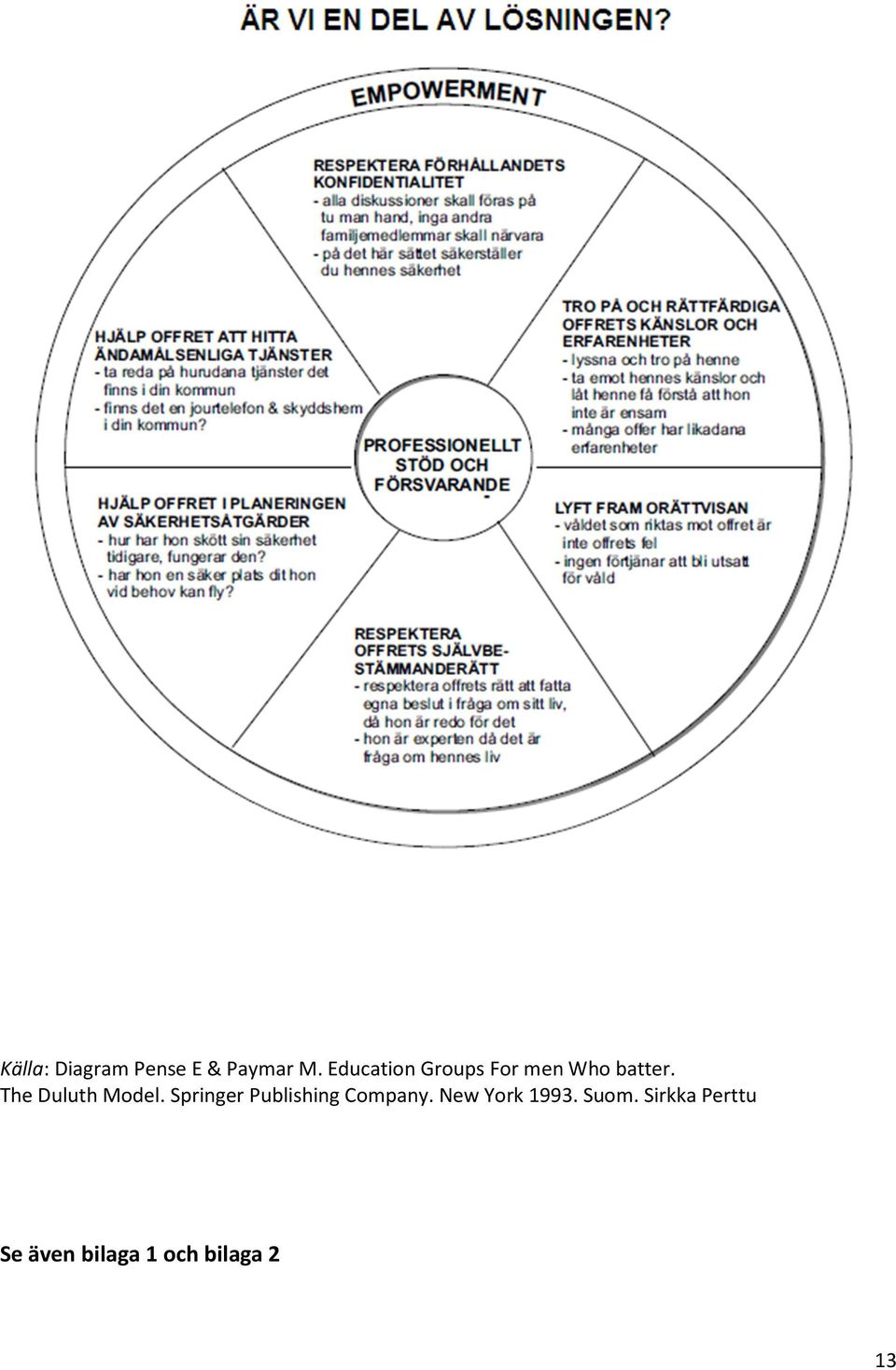 The Duluth Model. Springer Publishing Company.