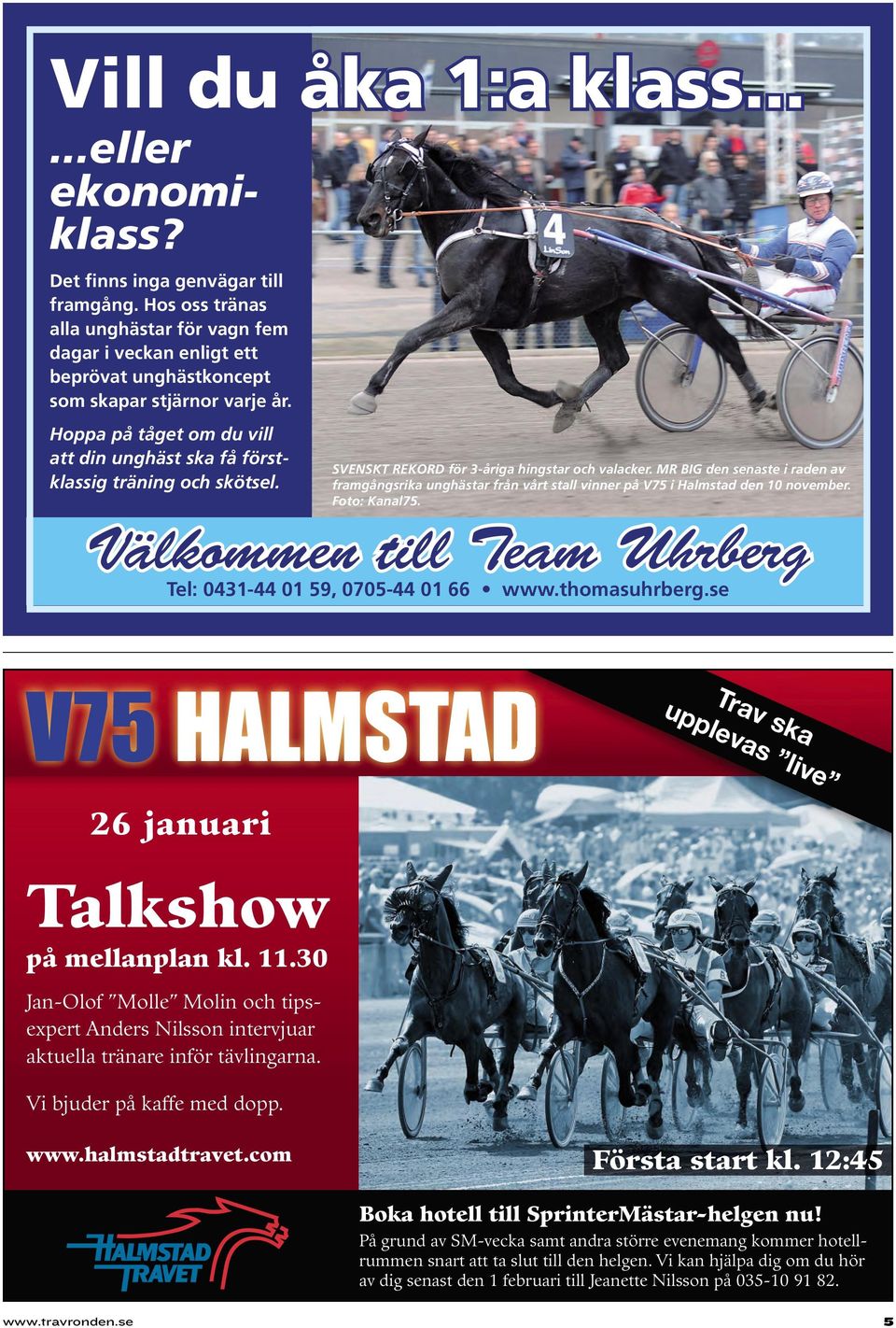 Välkommen till Team Uhrberg V75 HALMSTAD Trav ska upplevas live 26 januari Talkshow på mellanplan kl. 11.