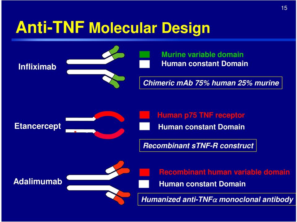 Human constant Domain Recombinant stnf-r construct Adalimumab Recombinant