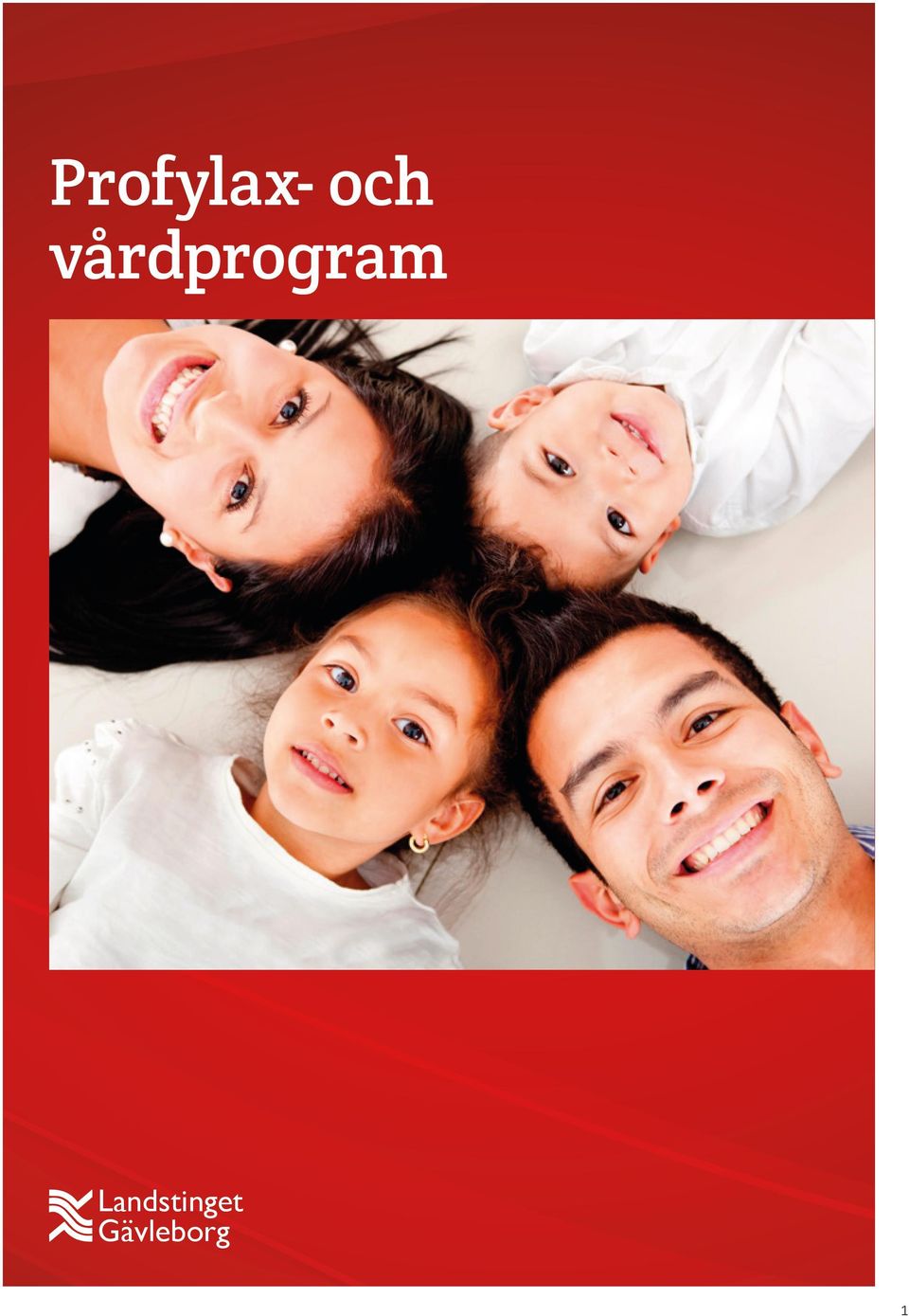 vårdprogram