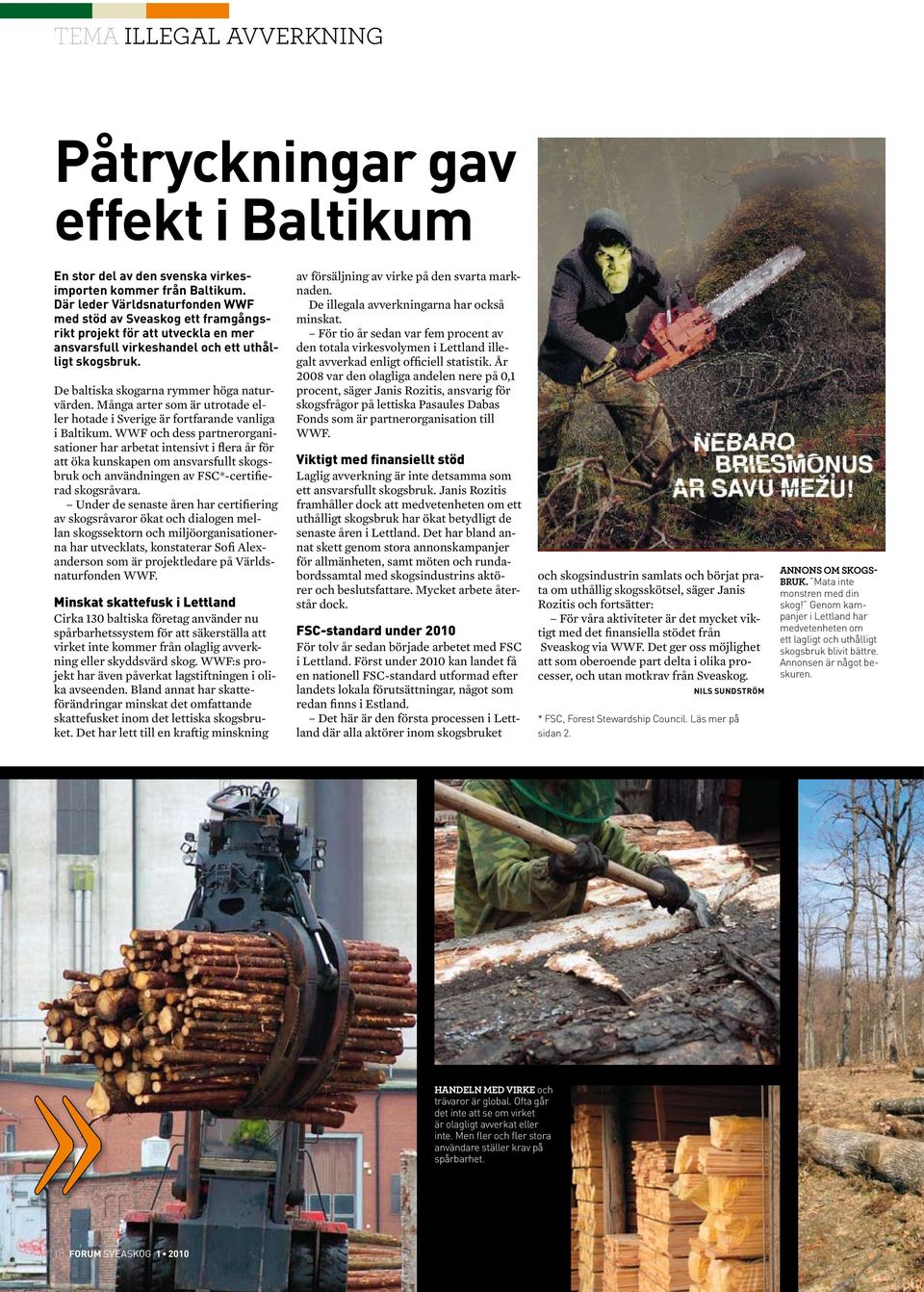 De baltiska skogarna rymmer höga naturvärden. Många arter som är utrotade eller hotade i Sverige är fortfarande vanliga i Baltikum.