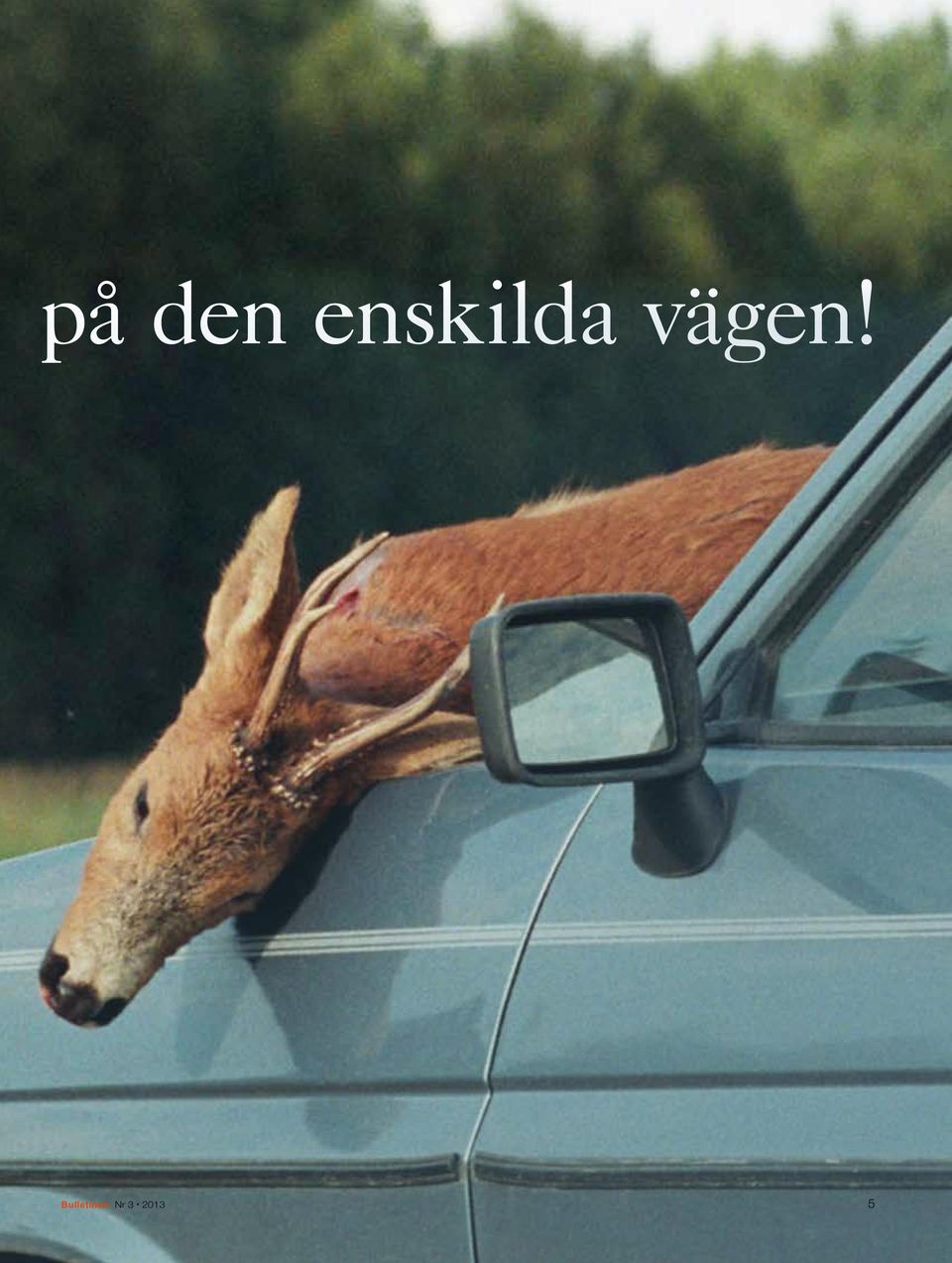 vägen!