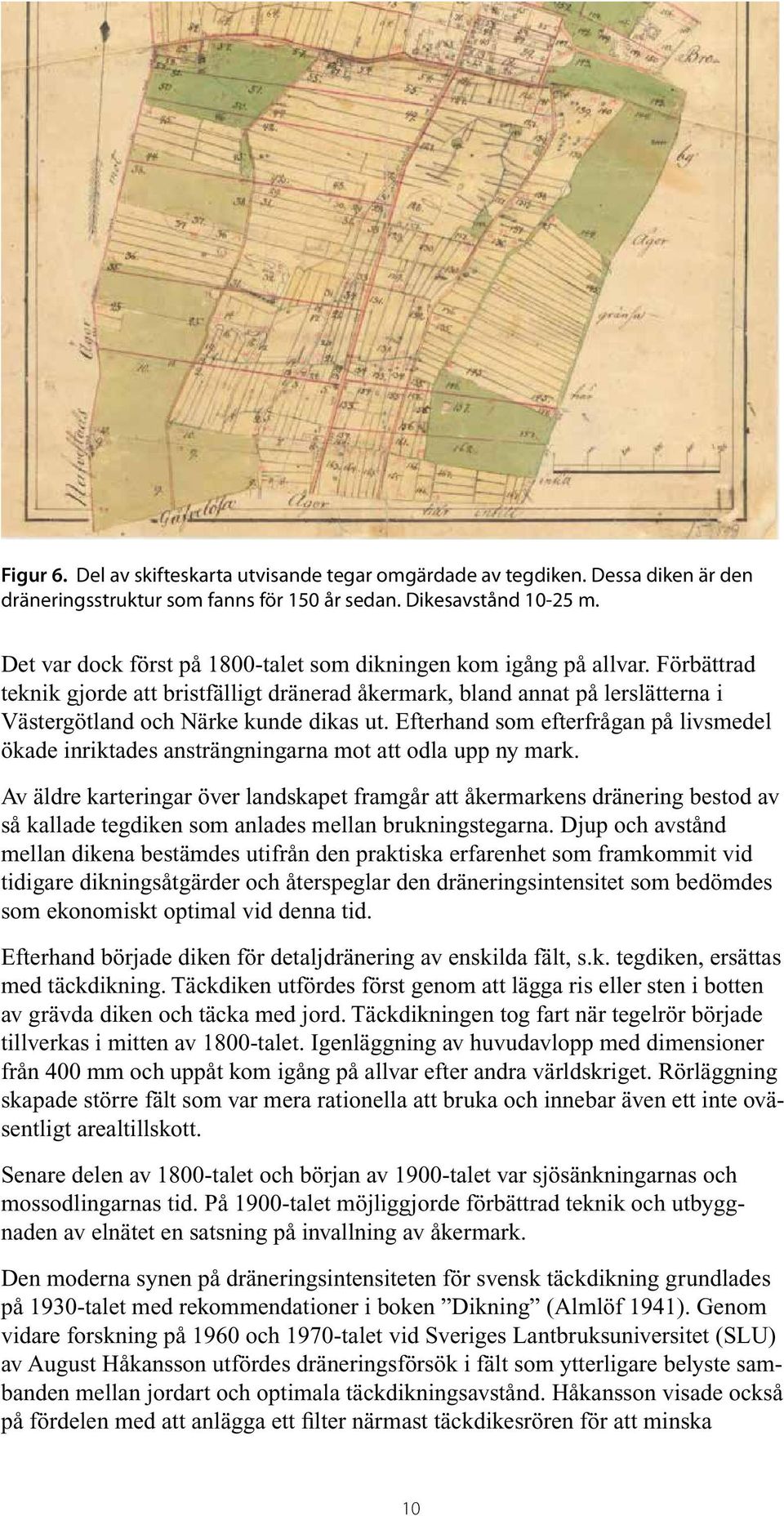 Efterhand som efterfrågan på livsmedel ökade inriktades ansträngningarna mot att odla upp ny mark.