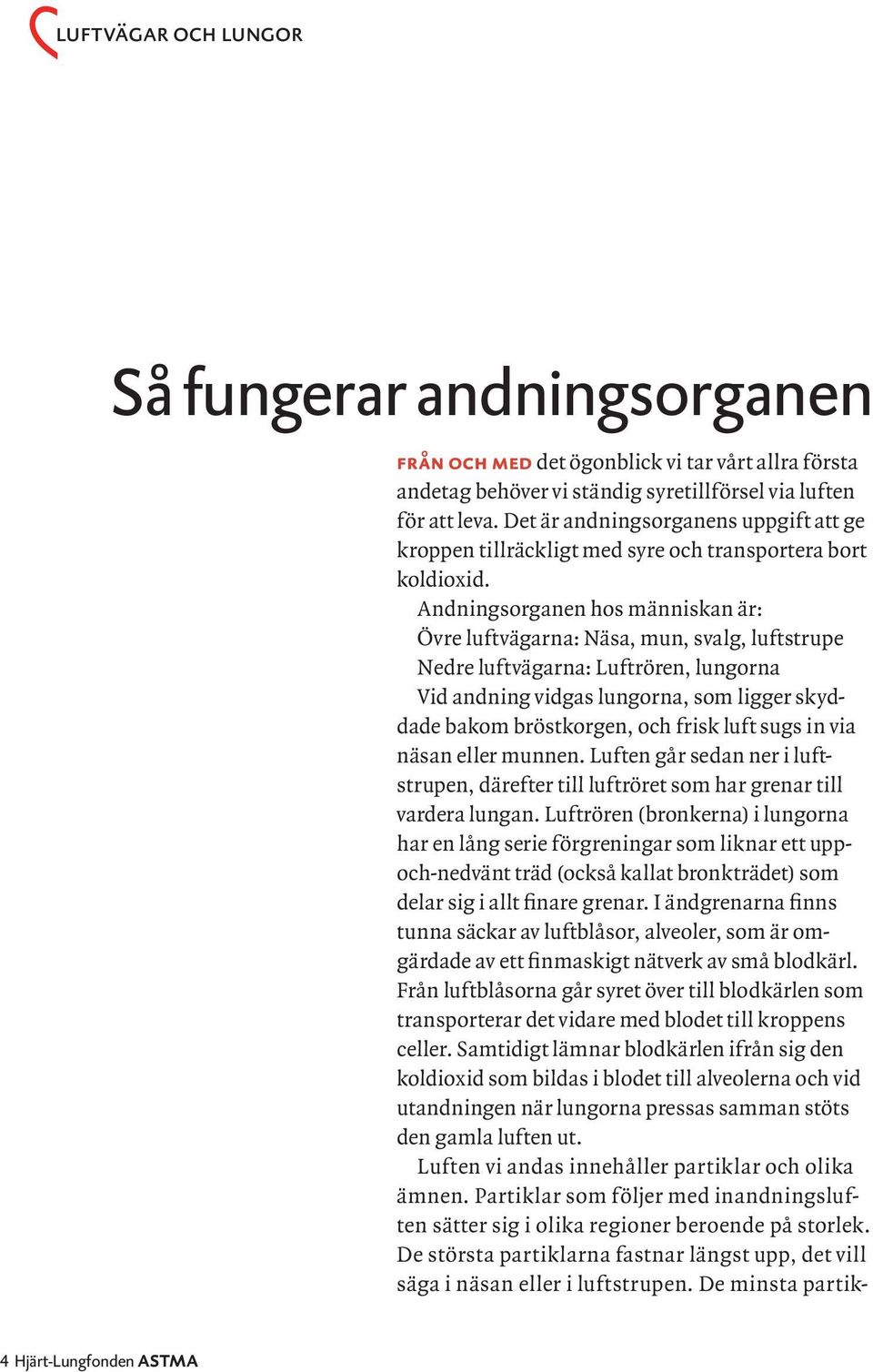 Andningsorganen hos människan är: Övre luftvägarna: Näsa, mun, svalg, luftstrupe Nedre luftvägarna: Luftrören, lungorna Vid andning vidgas lungorna, som ligger skyddade bakom bröstkorgen, och frisk