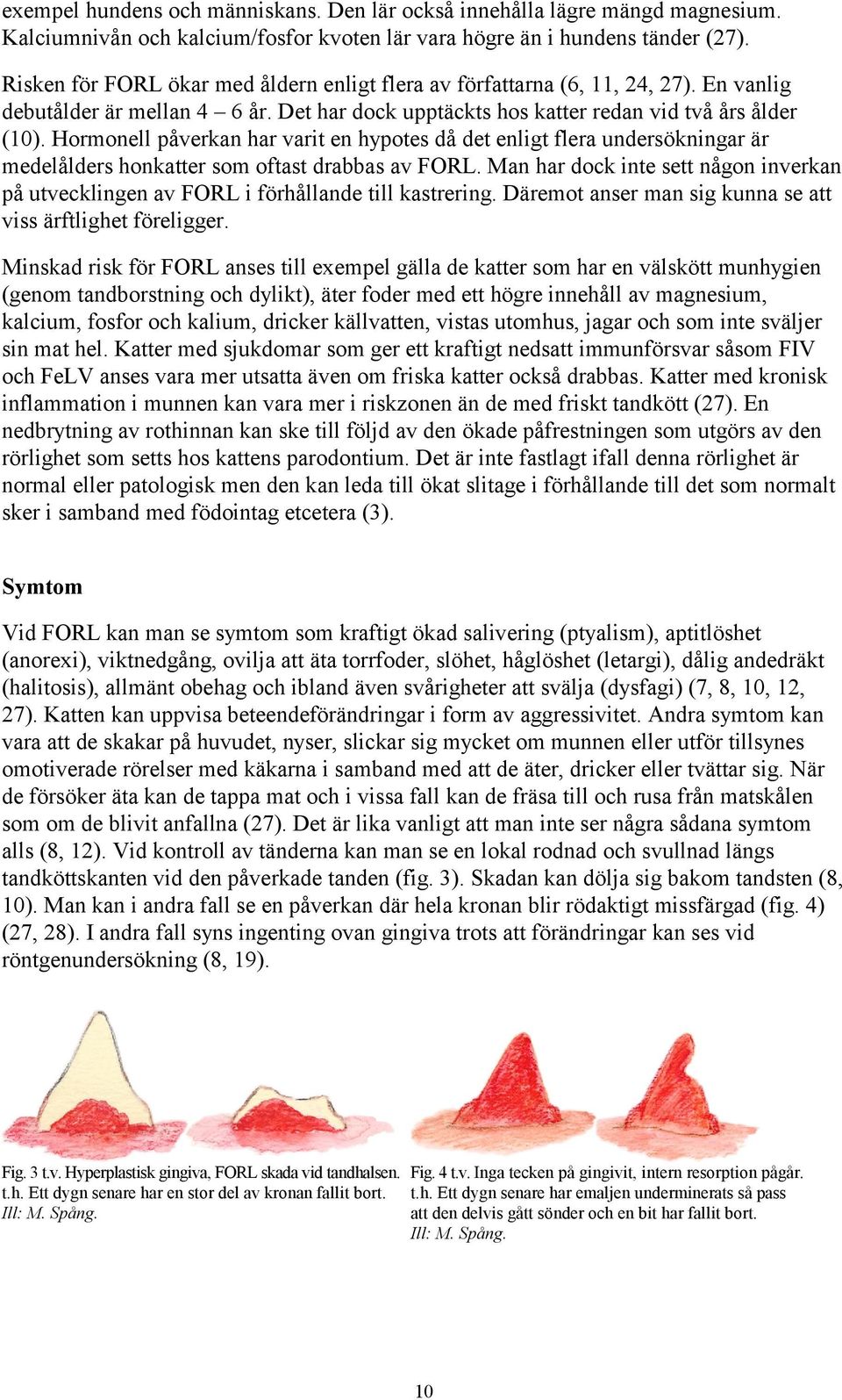 Hormonell påverkan har varit en hypotes då det enligt flera undersökningar är medelålders honkatter som oftast drabbas av FORL.