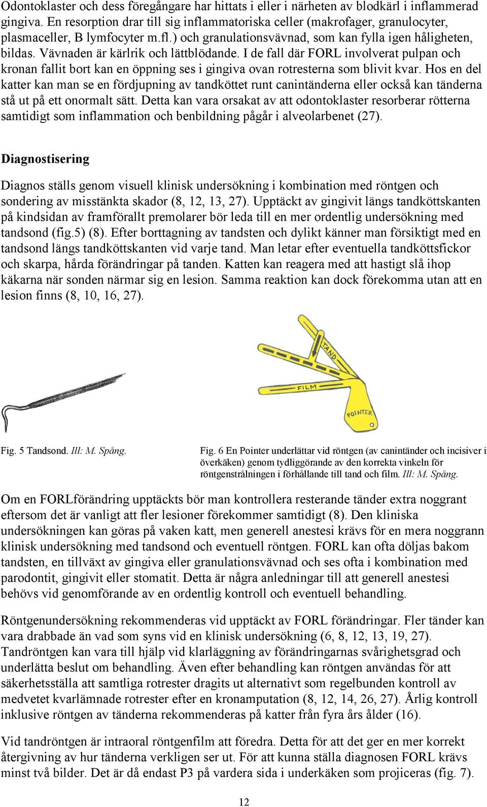 Vävnaden är kärlrik och lättblödande. I de fall där FORL involverat pulpan och kronan fallit bort kan en öppning ses i gingiva ovan rotresterna som blivit kvar.