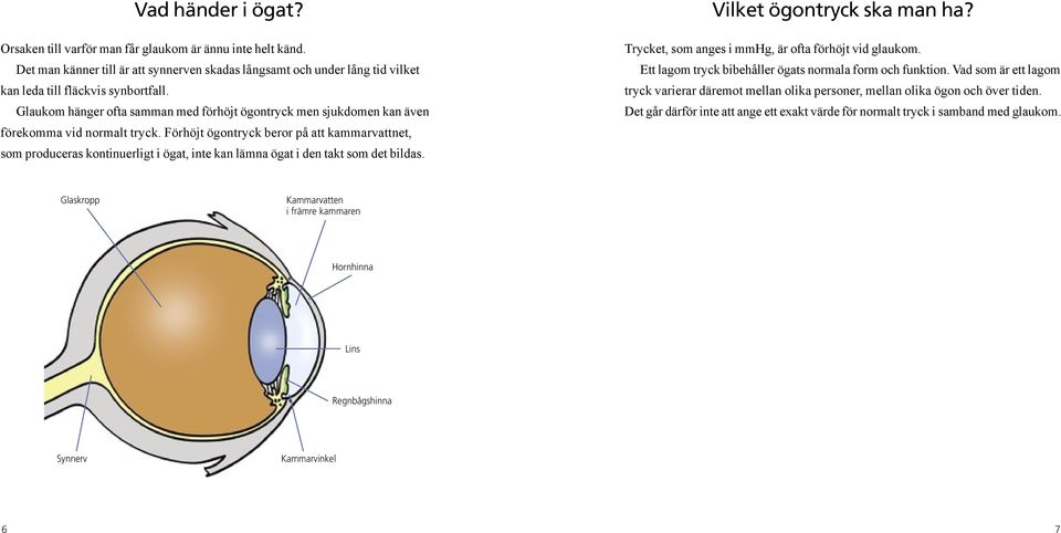 Förhöjt ögontryck beror på att kammarvattnet, som produceras kontinuerligt i ögat, inte kan lämna ögat i den takt som det bildas. Vilket ögontryck ska man ha?