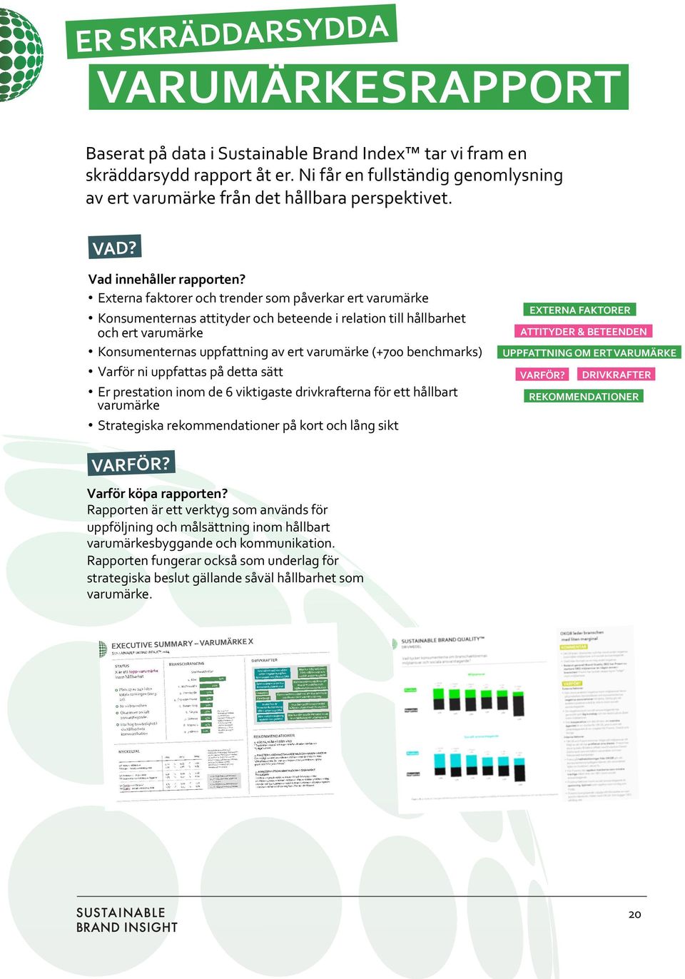 Externa faktorer och trender som påverkar ert varumärke Konsumenternas attityder och beteende i relation till hållbarhet och ert varumärke Konsumenternas uppfattning av ert varumärke (+700