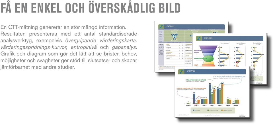 värderingskarta, värderingsspridnings-kurvor, entropinivå och gapanalys.