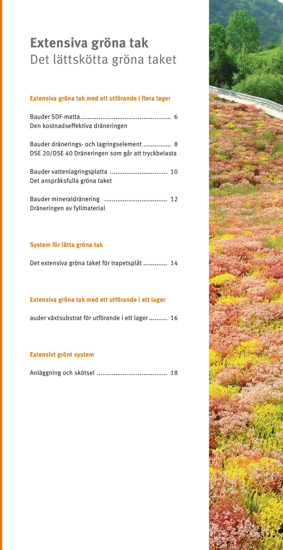 .. 8 DSE 20/DSE 40 Dräneringen som går att tryckbelasta Bauder vattenlagringsplatta... 10 Det anspråksfulla gröna taket Bauder mineraldränering.